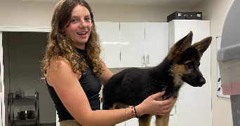 alena pet sitter à ROUEN 76000_5