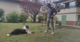 lucas pet sitter à VILLEURBANNE 69100_3