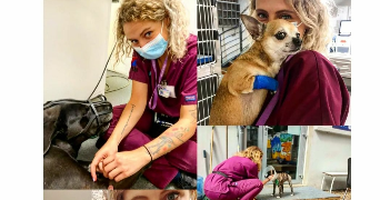 clara pet sitter à VITRY SUR SEINE 94400_3