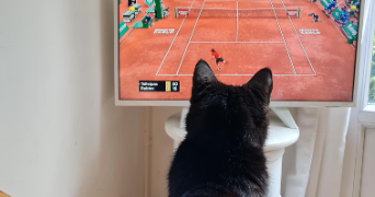 sophie pet sitter à PARIS 15 75015_1