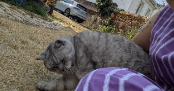 louna pet sitter à REZE 44400_3