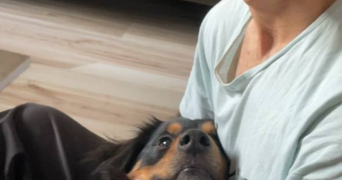 mahan pet sitter à ROUEN 76000_3