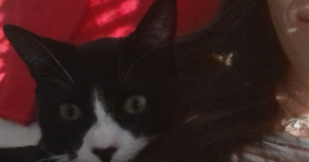 laura pet sitter à ST MAURICE DE BEYNOST 01700_2