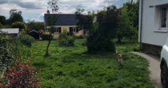 jillian pet sitter à SPEZET 29540_3