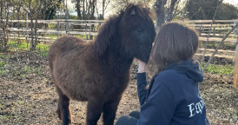 julia pet sitter à BOULOGNE BILLANCOURT 92100_5