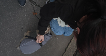 neilina pet sitter à NANTES 44100_2