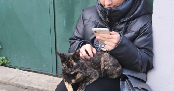 anaïs cat sitter à MARSEILLE 09 13009_3