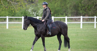 marie caroline pet sitter à DIJON 21000_0