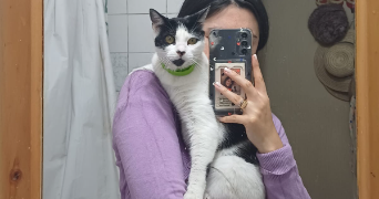 ana pet sitter à COLOMIERS 31770_1