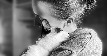 mallaury pet sitter à Saint-Martin-Des-Champs 29600_3