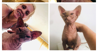 séverine  pet sitter à 59000 Lille 59000_6