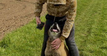 aurélien pet sitter à TOURS 37000_3