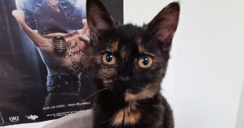 clémence pet sitter à LILLE 59000_3