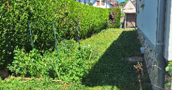 aline pet sitter à BEAUVAIS 60000_1
