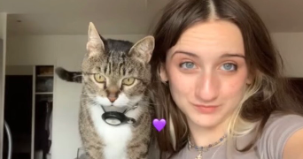 violette pet sitter à SURESNES 92150_0