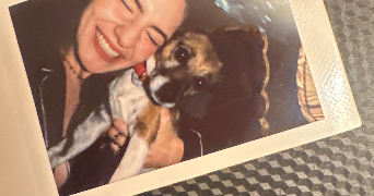 fairouz pet sitter à THIAIS 94320_0