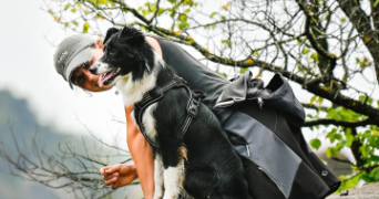 léa pet sitter à LE LAUZET UBAYE 04340_1