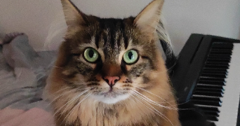 elise pet sitter à STRASBOURG 67000_2
