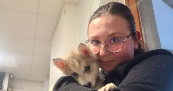 lalie pet sitter à STE MARIE AUX CHENES 57255_0