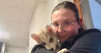 lalie pet sitter à STE MARIE AUX CHENES 57255