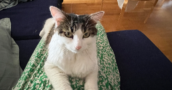 charlène pet sitter à ANNECY 74000_1