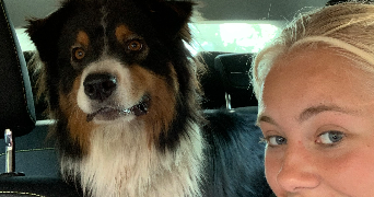 ambre pet sitter à LYON 07 69007_2