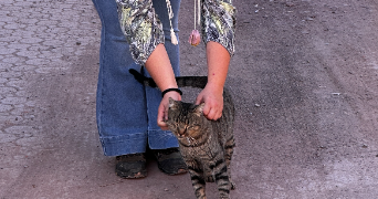 margaux pet sitter à BEZIERS 34500_2