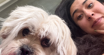 atousa pet sitter à PESSAC 33600_2