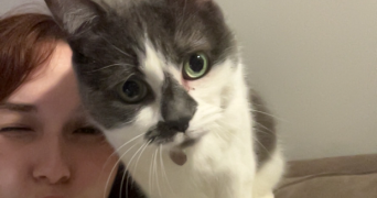 sophie pet sitter à PARIS 15 75015_2