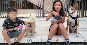 léa pet sitter à BORDEAUX 33100_1