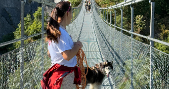 célie pet sitter à PARIS 15 75015_3