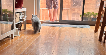 corinne pet sitter à PARIS 15 75015_7