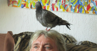 cyril pet sitter à LA CRAU 83260_1