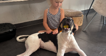 charlène pet sitter à ANNECY 74000_2