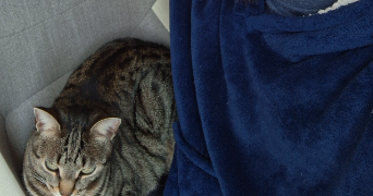 jean-baptiste pet sitter à AIX EN PROVENCE 13090_1