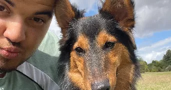 yanis pet sitter à VALENCIENNES 59300