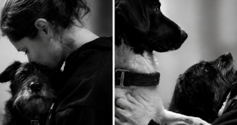 marie pet sitter à VERT ST DENIS 77240_1