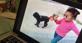 lou pet sitter à NANCY 54000_5