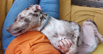 marion pet sitter à LYON 02 69002_8