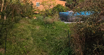 esthelle pet sitter à NARBONNE 11100_3