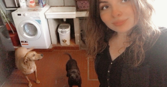 mathilde pet sitter à ALFORTVILLE 94140_2