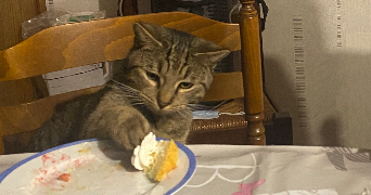 florine pet sitter à OROER 60510_2