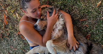 chloe pet sitter à MONTAUBAN 82000_2