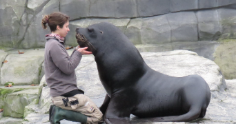 michon pet sitter à DOMPIERRE SUR BESBRE 03290_1