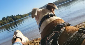 emilie pet sitter à ISLE 87170