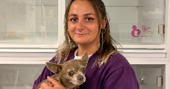 maïly pet sitter à ST JEAN DE LUZ 64500_2