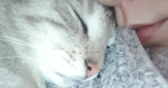 camille pet sitter à ANNECY 74960_0