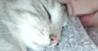 camille pet sitter à ANNECY 74960