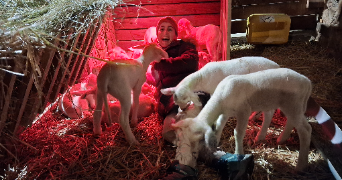 daiana pet sitter à STE RADEGONDE 24560_1