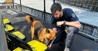 jocelyn pet sitter à RUEIL MALMAISON 92500